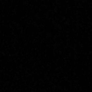 Meet your Posher, Cami